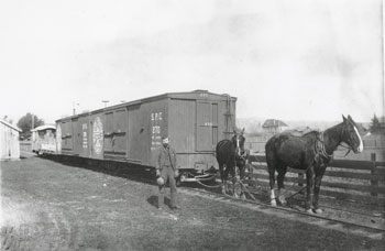 Motive power on the narrow-gauge
Centerville Branch was provided by draft horses.